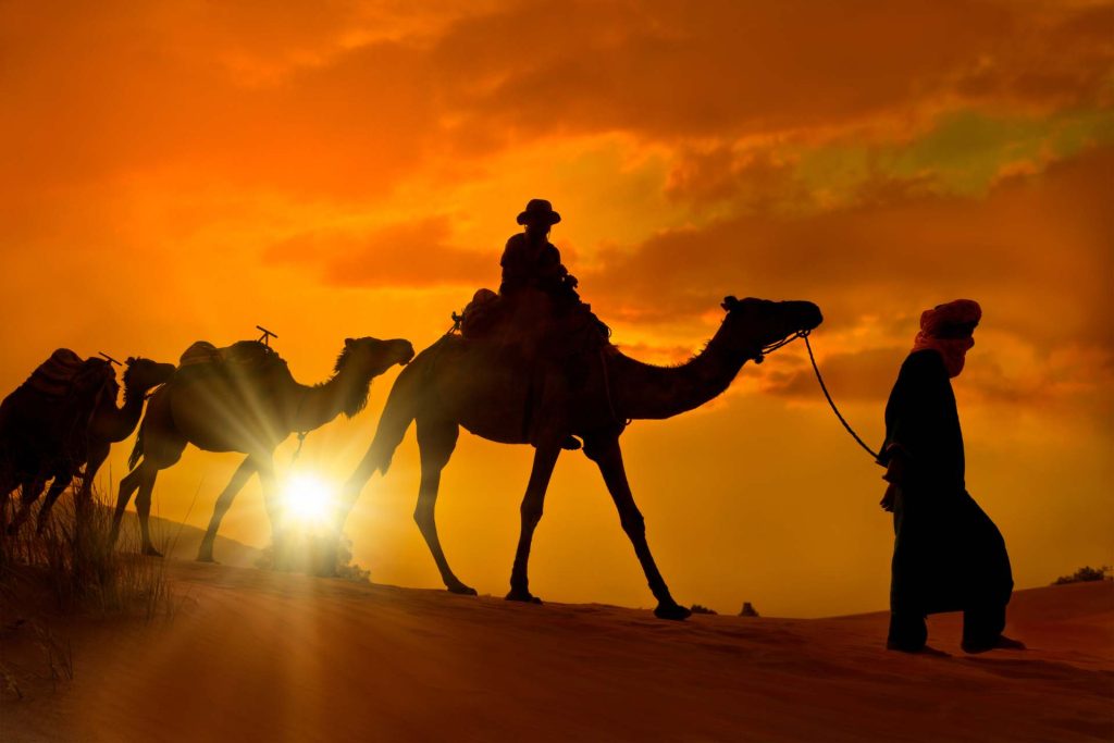 11 Days Morocco Birdwatching Tour